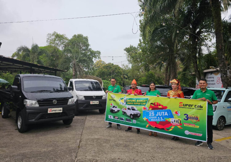 DFSK Super Cab Palembang